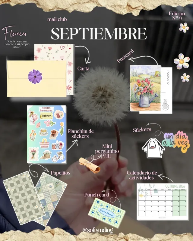Edición 9° Septiembre