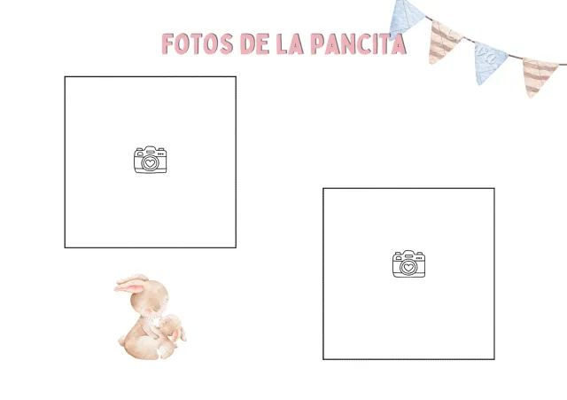 Álbum de recuerdos del bebé 4