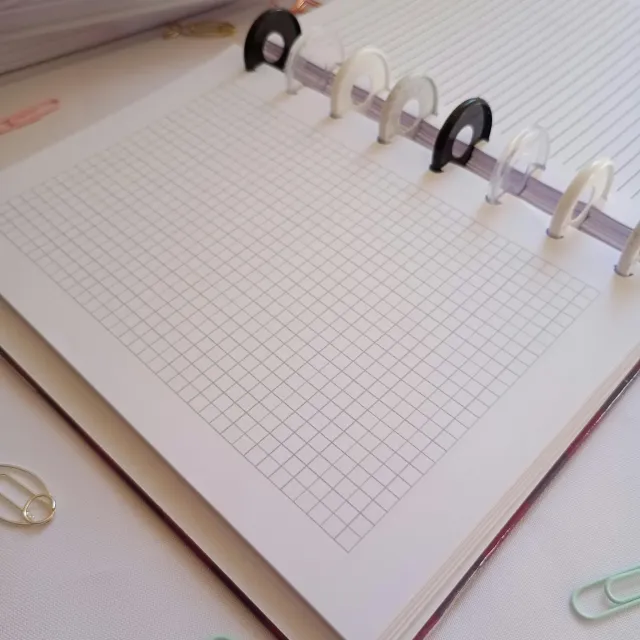 Cuaderno Tapa Dura con Sistema de Discos – Pato Lucas ✨ 5