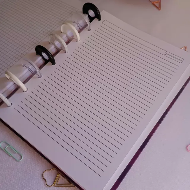 Cuaderno Tapa Dura con Sistema de Discos – Pato Lucas ✨ 6