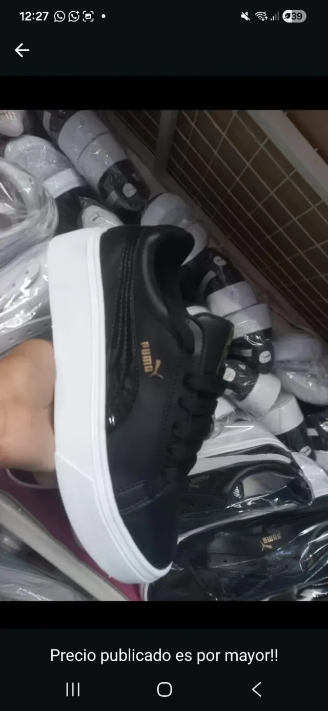 Puma ecocuero 2