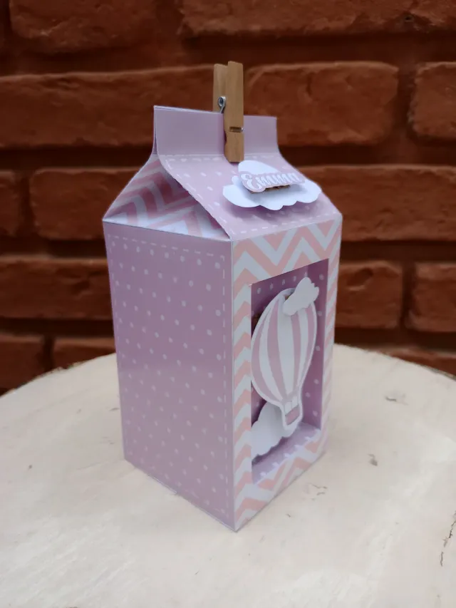 Milk box mini con visor 3
