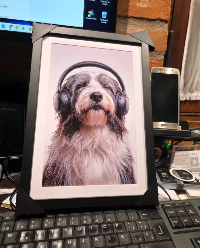 Fotografías de mascotas