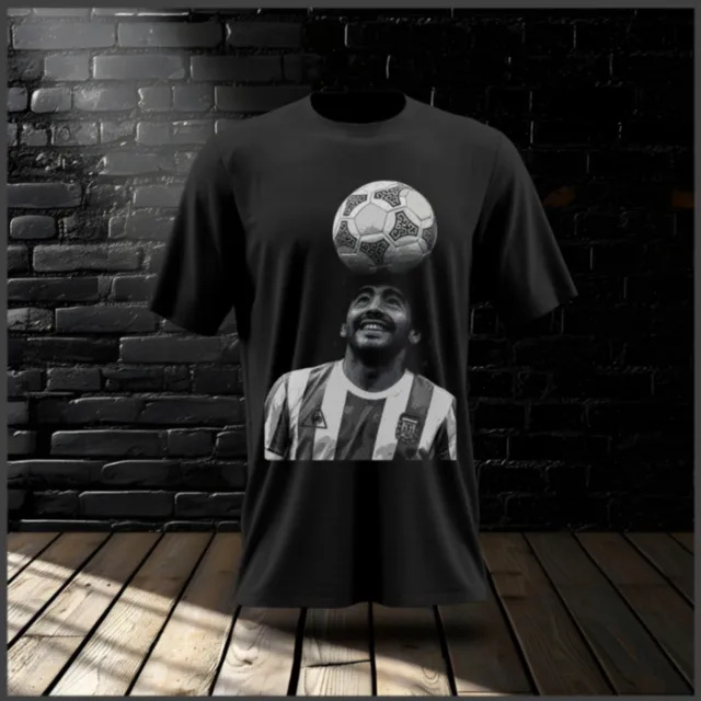 Remeras  algodón peinado 2