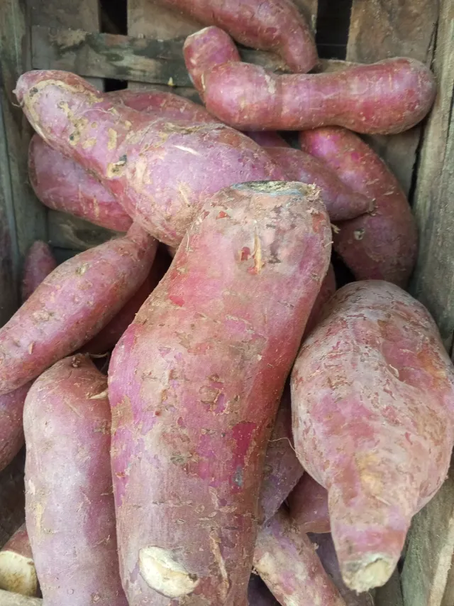 Batata kg