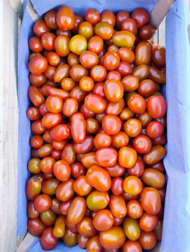 Tomate Cherry el kilo