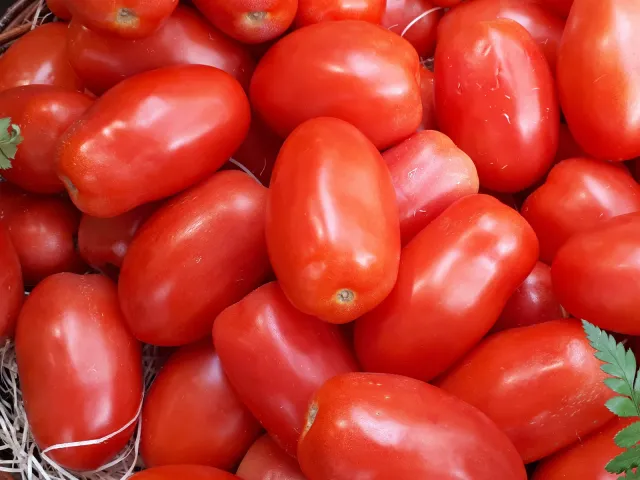 Tomate 🍅 perita
