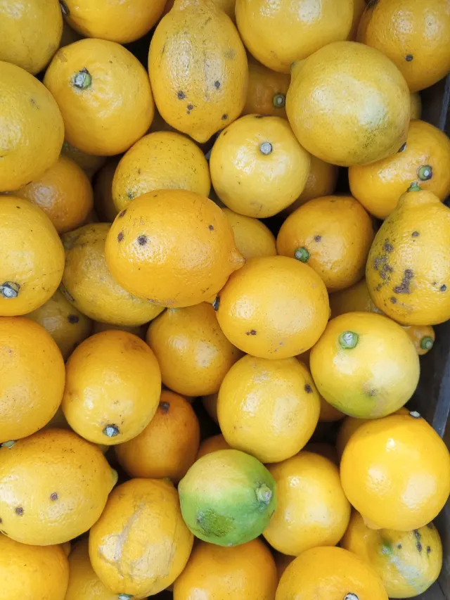 Limón kg