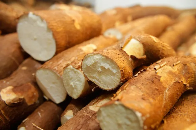 Mandioca 2 kilos
