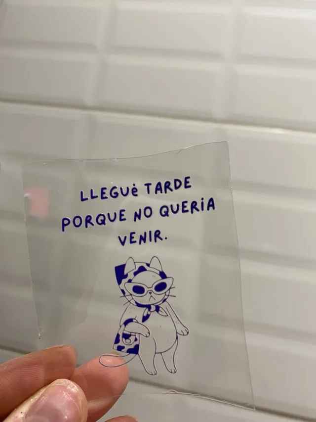 Lleguè tarde