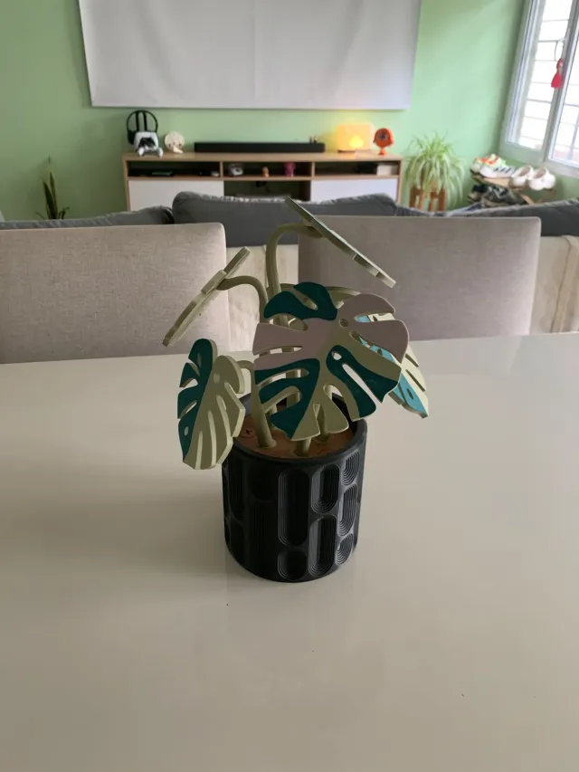 Posavasos Monstera x6 + base maceta