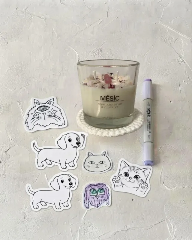 Kit Familia Multiespecie 🐶🐱