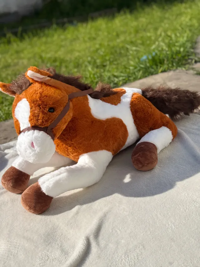 Caballito 66cm 2