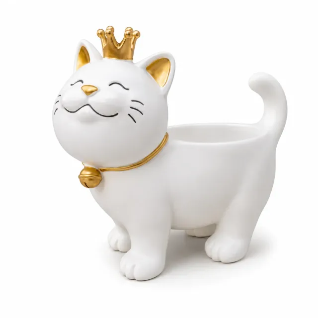 Gato Rey