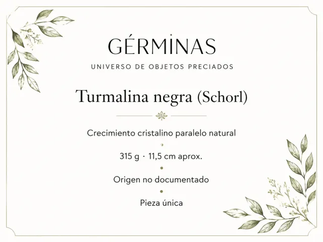 Turmalina negra Schorl de colección · Crecimiento cristalino paralelo · 315 g 6