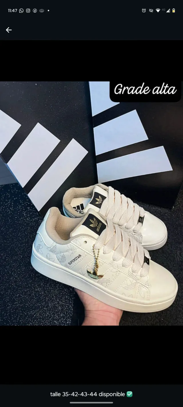 Zapatillas Adultos 8