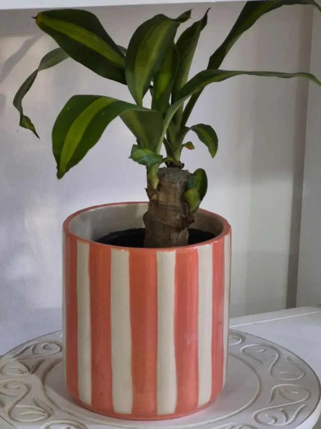 Maceta rayas 4