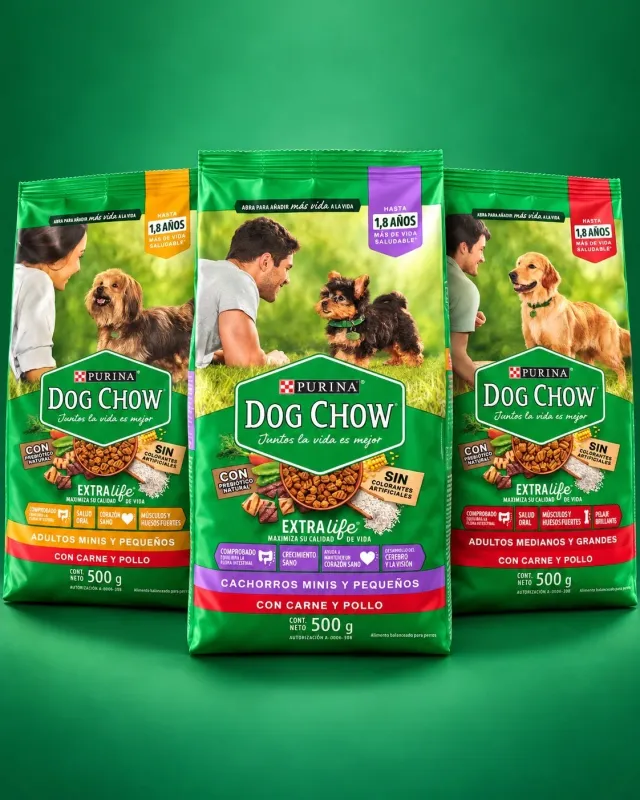 Dog Chow de 500 gramos