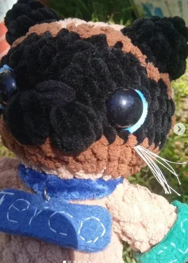 Gatito Terco