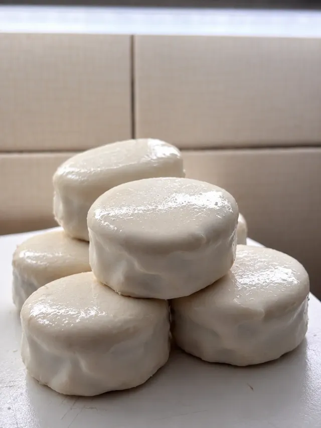 MINI NEVADOS