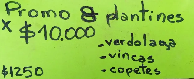 Plantines 7