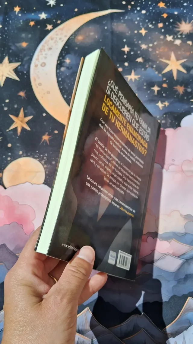 Mi hermanastro, el Cuarto de los deseos 3