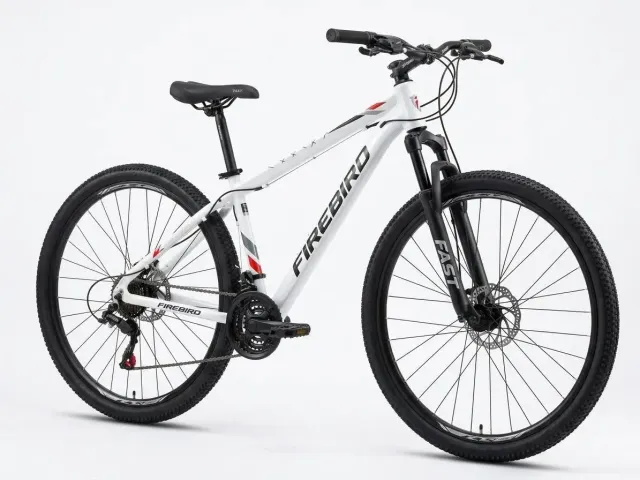 bicicleta FIREBIRD  Rockport Compressor Rodado 29 4